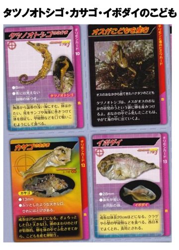 ちりめんモンスターを探そう2